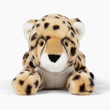 Kali Cheetah