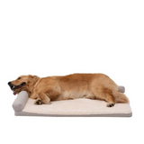 Orthopedic Lounge Bed