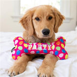 Party Time Bone