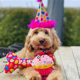 Party Time Bone
