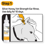 Silver Honey Ear Care Treatment