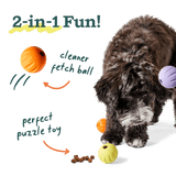 Flyball