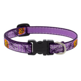 Trick or Treat Collar