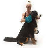Grooming & Bath Mitt