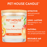 Mango Peach Candle