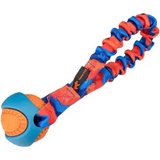 Pocket Powerball Bungee