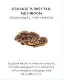 Turkey Tail Health Supplement