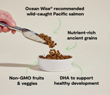 Salmon & Ancient Grains - Puppy