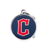 MLB Id Tags