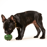 Pupsicle Refill Pops