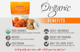 Oven Baked Dog Treats
