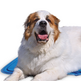 Cool Pet Pad