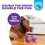 Double Snoop