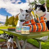 Gold Healthy Weight Cat Can