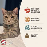 Gold Indoor Cat