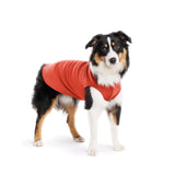 Gold Paw Solid Fleece