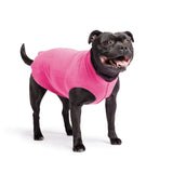Gold Paw Solid Fleece