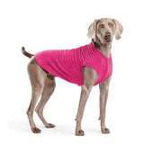 Gold Paw Solid Fleece