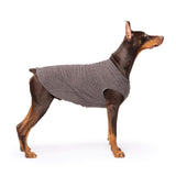 Gold Paw Solid Fleece