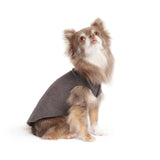 Gold Paw Solid Fleece