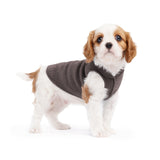 Gold Paw Solid Fleece