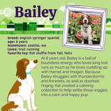 Bailey's No More Wiggles Chew