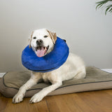 Kong Cloud Protective Collar