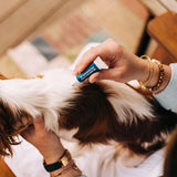 Spot On Flea & Tick