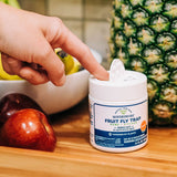 Fruit Fly Trap
