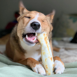 Chicken Recipe Dog Chew