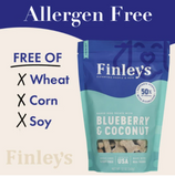 Blueberry Coconut Biscuit