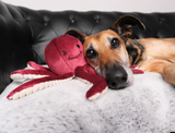 Olympia Octopus Dog Toy