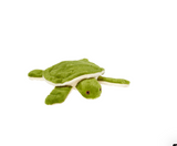 Esmeralda Turtle Dog Toy