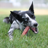 Bully Stick Pack