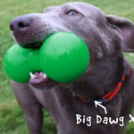 Big Dawg Toy