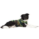 Gold Paw Fleece