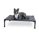 Pet Cot
