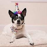 Superstar Party Hat