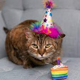 Superstar Party Hat