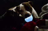 Pixie's Favorite Strobe Ball