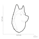 GREY AND WHITE SIBERIAN HUSKY