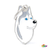 GREY AND WHITE SIBERIAN HUSKY