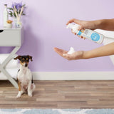 Waterless Shampoo
