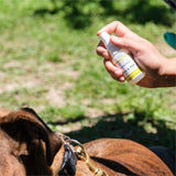 Lemongrass Flea & Tick Spray