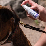 Rosemary Flea & Tick Spray