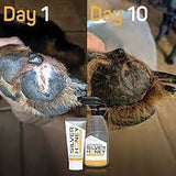 Silver Honey Hot Spot & Wound