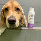 Lavender Shampoo
